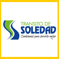 Transito de soledad